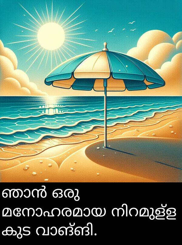 ഒരു: ഞാൻ ഒരു മനോഹരമായ നിറമുള്ള കുട വാങ്ങി.
