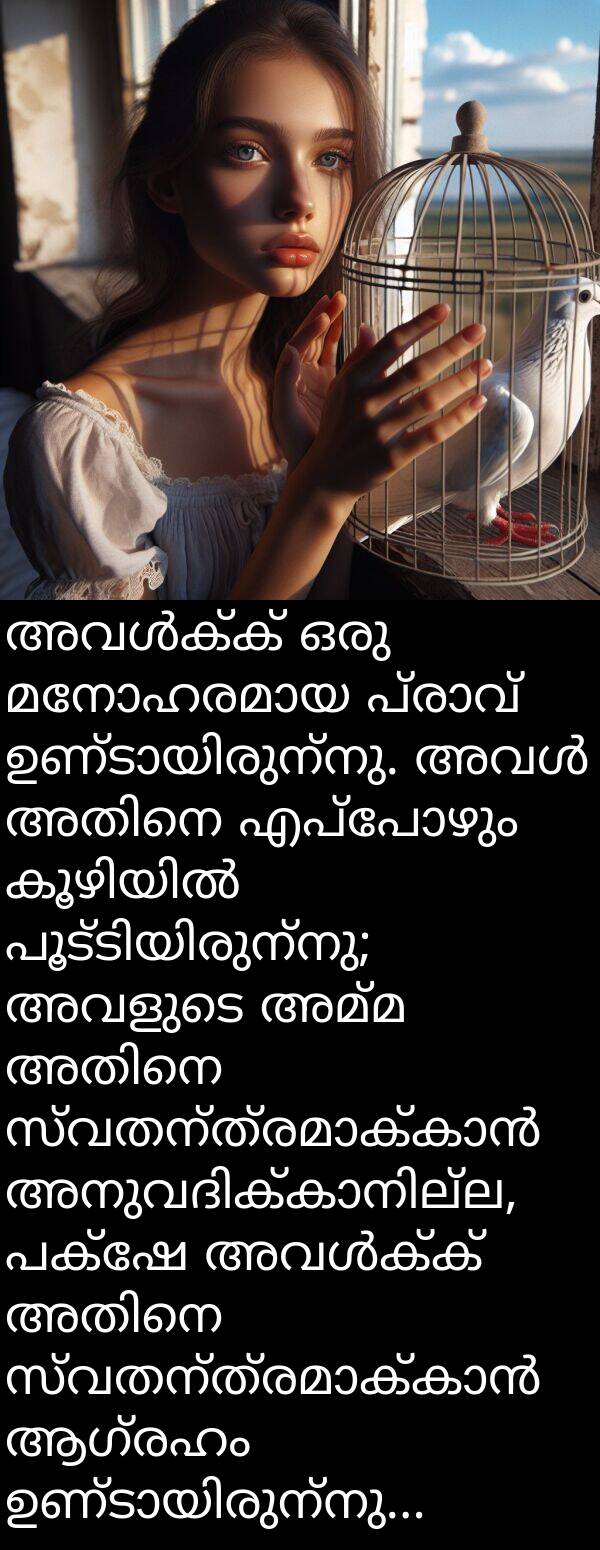 അമ്മ: അവൾക്ക് ഒരു മനോഹരമായ പ്രാവ് ഉണ്ടായിരുന്നു. അവൾ അതിനെ എപ്പോഴും കൂഴിയിൽ പൂട്ടിയിരുന്നു; അവളുടെ അമ്മ അതിനെ സ്വതന്ത്രമാക്കാൻ അനുവദിക്കാനില്ല, പക്ഷേ അവൾക്ക് അതിനെ സ്വതന്ത്രമാക്കാൻ ആഗ്രഹം ഉണ്ടായിരുന്നു...