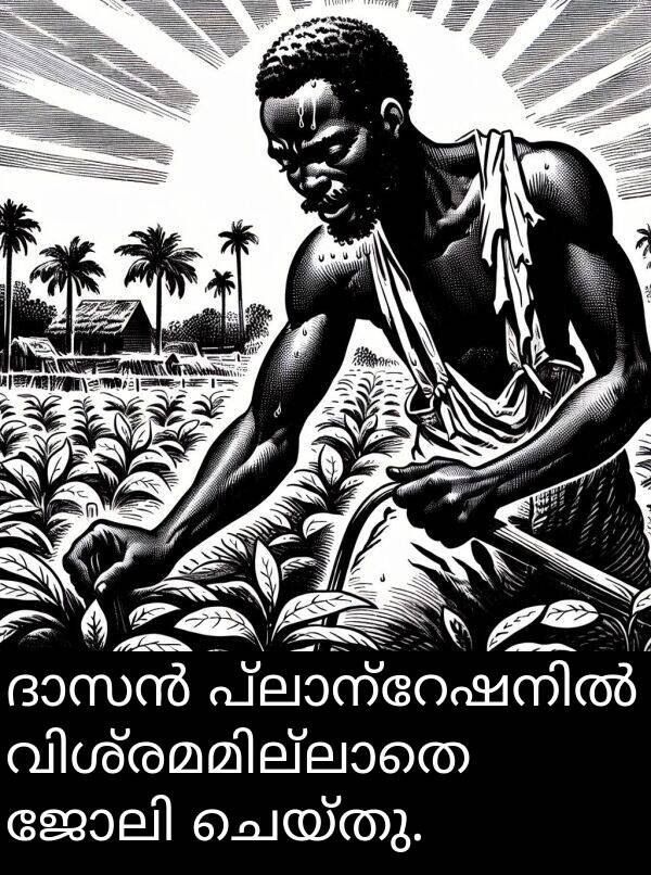 ചെയ്തു: ദാസൻ പ്ലാന്റേഷനിൽ വിശ്രമമില്ലാതെ ജോലി ചെയ്തു.