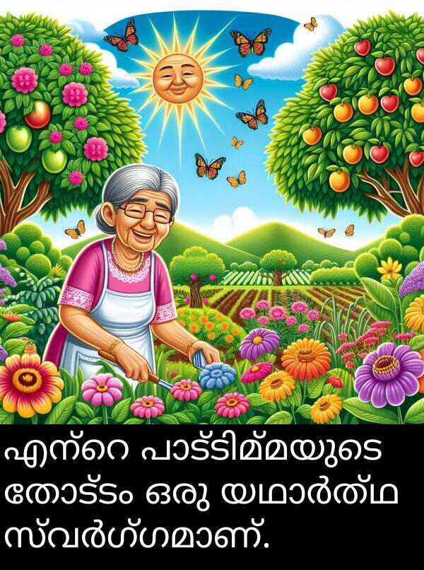 തോട്ടം: എന്റെ പാട്ടിമ്മയുടെ തോട്ടം ഒരു യഥാർത്ഥ സ്വർഗ്ഗമാണ്.