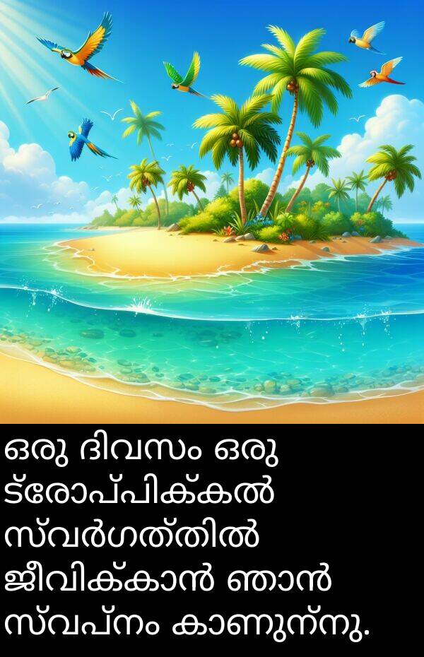 സ്വപ്നം: ഒരു ദിവസം ഒരു ട്രോപ്പിക്കൽ സ്വർഗത്തിൽ ജീവിക്കാൻ ഞാൻ സ്വപ്നം കാണുന്നു.