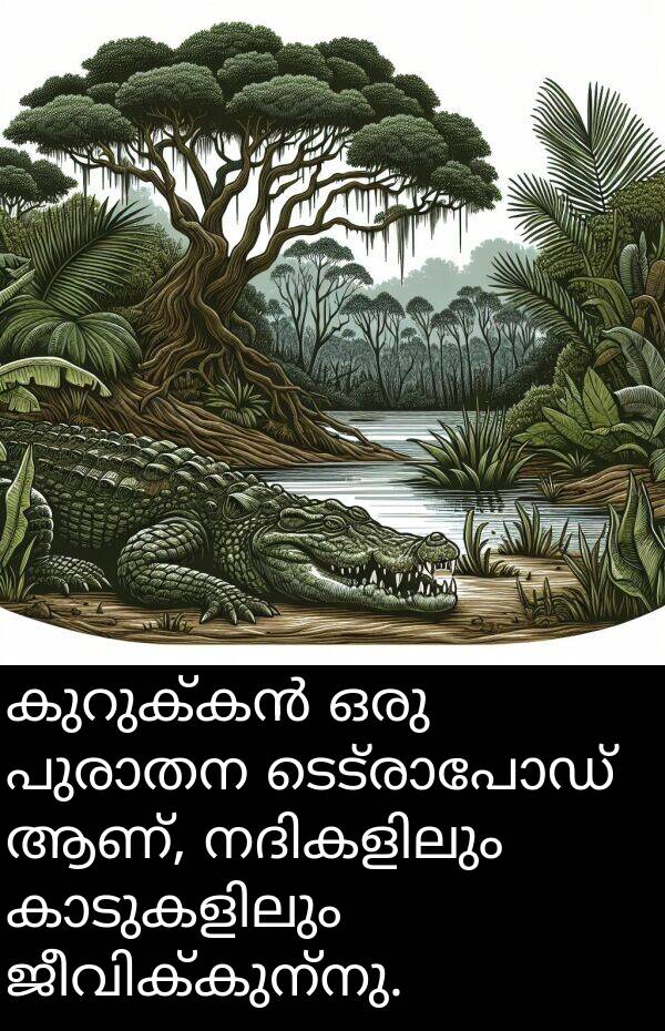 ആണ്: കുറുക്കൻ ഒരു പുരാതന ടെട്രാപോഡ് ആണ്, നദികളിലും കാടുകളിലും ജീവിക്കുന്നു.