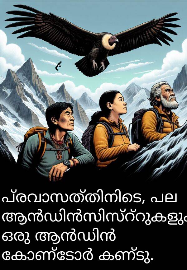 കണ്ടു: പ്രവാസത്തിനിടെ, പല ആൻഡിൻസിസ്റ്റുകളും ഒരു ആൻഡിൻ കോണ്ടോർ കണ്ടു.
