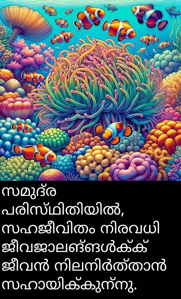 സമുദ്ര: സമുദ്ര പരിസ്ഥിതിയിൽ, സഹജീവിതം നിരവധി ജീവജാലങ്ങൾക്ക് ജീവൻ നിലനിർത്താൻ സഹായിക്കുന്നു.