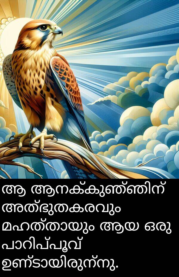 അത്ഭുതകരവും: ആ ആനക്കുഞ്ഞിന് അത്ഭുതകരവും മഹത്തായും ആയ ഒരു പാറിപ്പൂവ് ഉണ്ടായിരുന്നു.