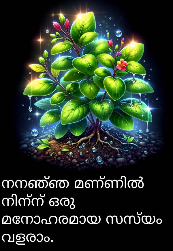 നനഞ്ഞ: നനഞ്ഞ മണ്ണിൽ നിന്ന് ഒരു മനോഹരമായ സസ്യം വളരാം.