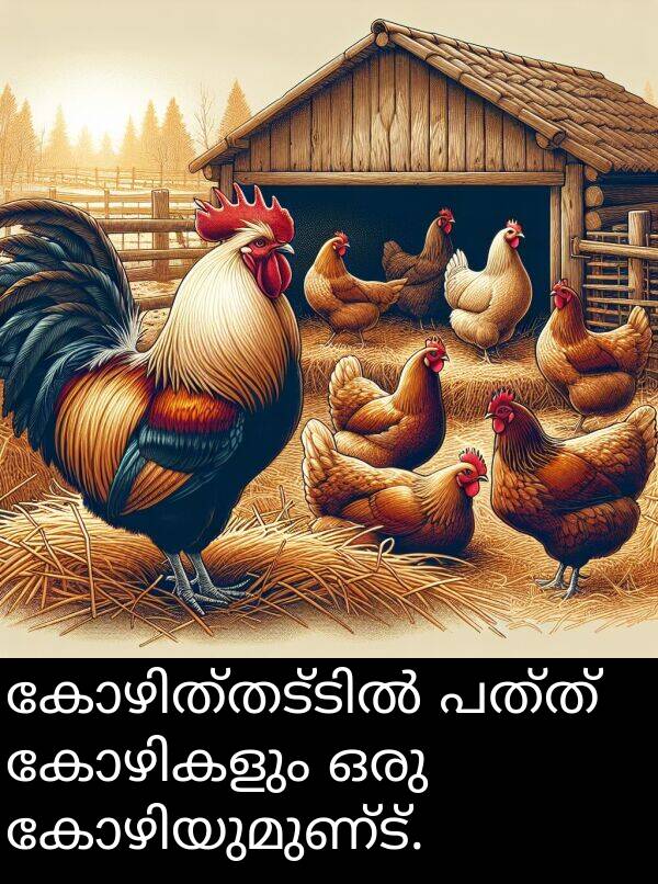 പത്ത്: കോഴിത്തട്ടിൽ പത്ത് കോഴികളും ഒരു കോഴിയുമുണ്ട്.