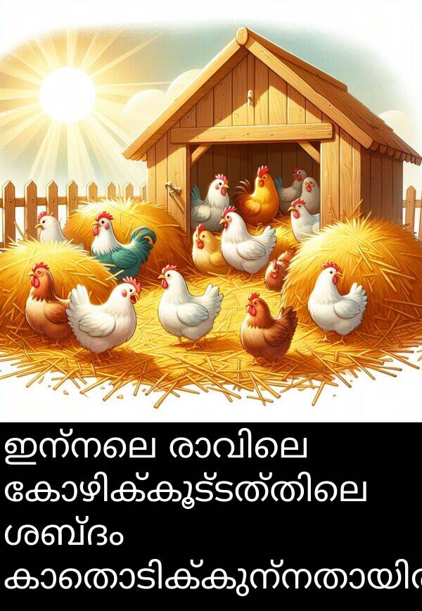 ഇന്നലെ: ഇന്നലെ രാവിലെ കോഴിക്കൂട്ടത്തിലെ ശബ്ദം കാതൊടിക്കുന്നതായിരുന്നു.