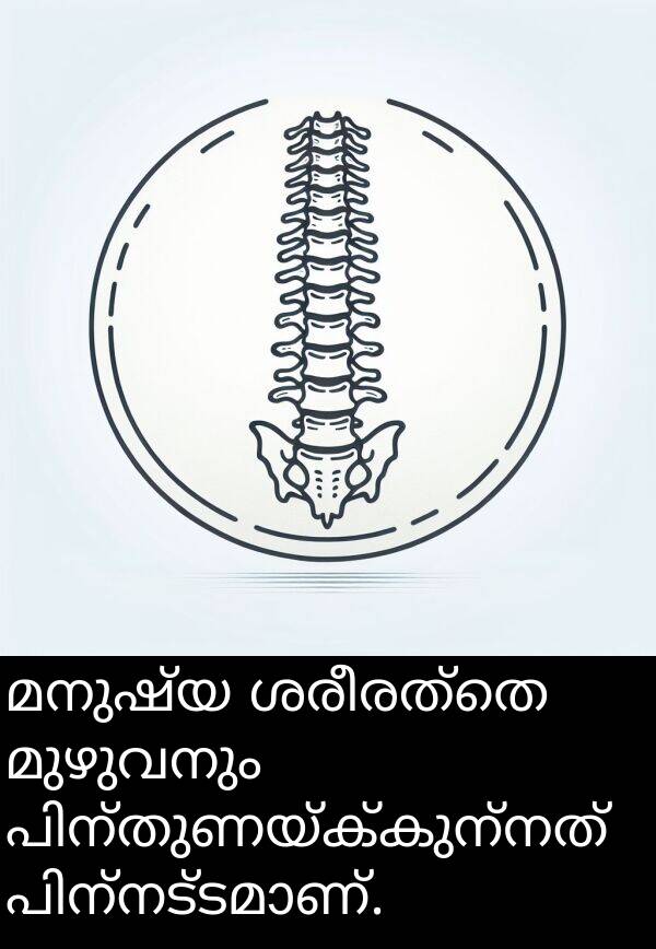 മുഴുവനും: മനുഷ്യ ശരീരത്തെ മുഴുവനും പിന്തുണയ്ക്കുന്നത് പിന്‍നട്ടമാണ്.