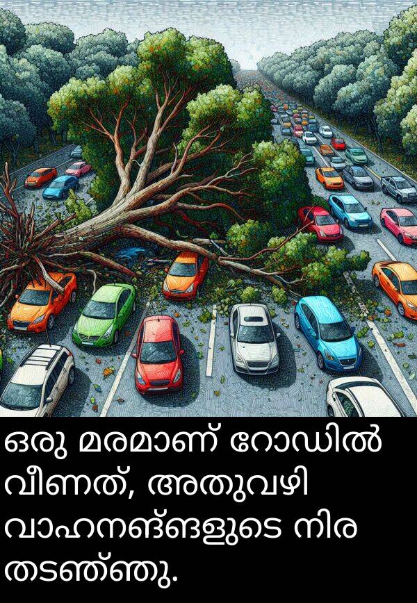 വീണത്: ഒരു മരമാണ് റോഡിൽ വീണത്, അതുവഴി വാഹനങ്ങളുടെ നിര തടഞ്ഞു.