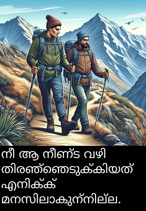 നീണ്ട: നീ ആ നീണ്ട വഴി തിരഞ്ഞെടുക്കിയത് എനിക്ക് മനസിലാകുന്നില്ല.