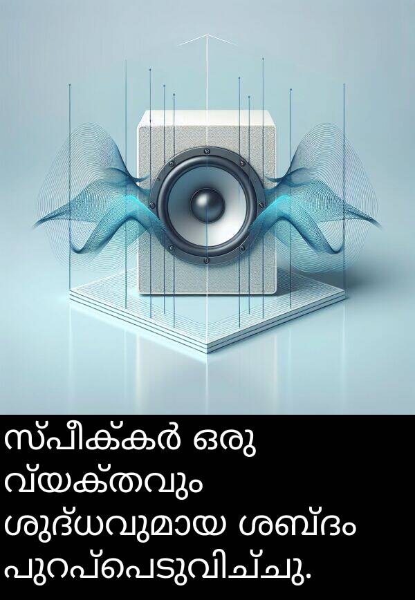 വ്യക്തവും: സ്പീക്കർ ഒരു വ്യക്തവും ശുദ്ധവുമായ ശബ്ദം പുറപ്പെടുവിച്ചു.
