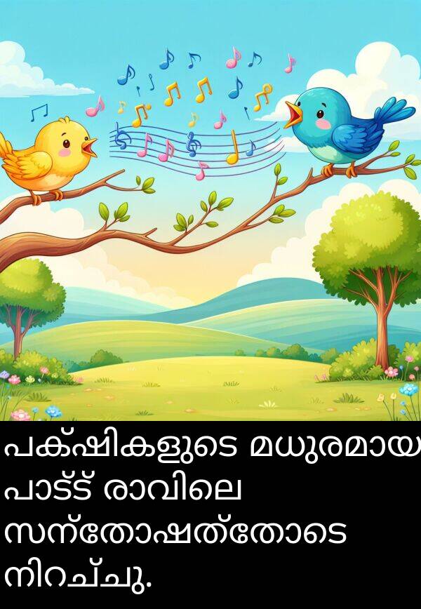 സന്തോഷത്തോടെ: പക്ഷികളുടെ മധുരമായ പാട്ട് രാവിലെ സന്തോഷത്തോടെ നിറച്ചു.