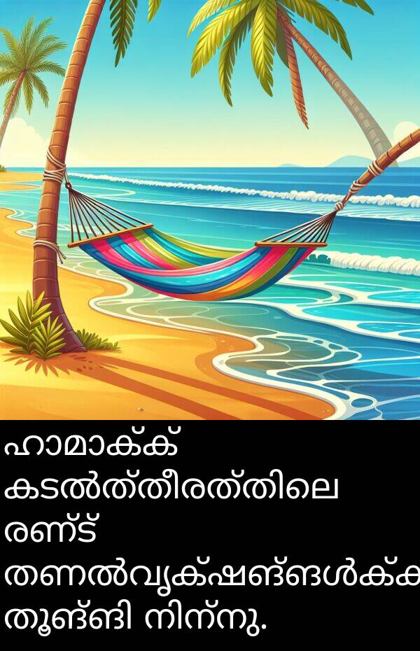 രണ്ട്: ഹാമാക്ക് കടൽത്തീരത്തിലെ രണ്ട് തണൽവൃക്ഷങ്ങൾക്കിടയിൽ തൂങ്ങി നിന്നു.