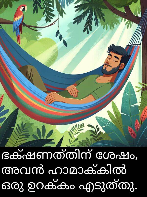 എടുത്തു: ഭക്ഷണത്തിന് ശേഷം, അവൻ ഹാമാക്കിൽ ഒരു ഉറക്കം എടുത്തു.