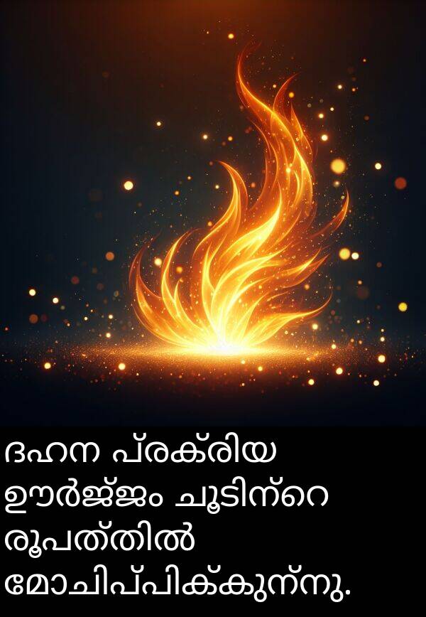 ദഹന: ദഹന പ്രക്രിയ ഊർജ്ജം ചൂടിന്റെ രൂപത്തിൽ മോചിപ്പിക്കുന്നു.