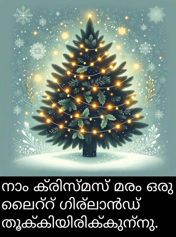 മരം: നാം ക്രിസ്മസ് മരം ഒരു ലൈറ്റ് ഗിര്ലാൻഡ് തൂക്കിയിരിക്കുന്നു.