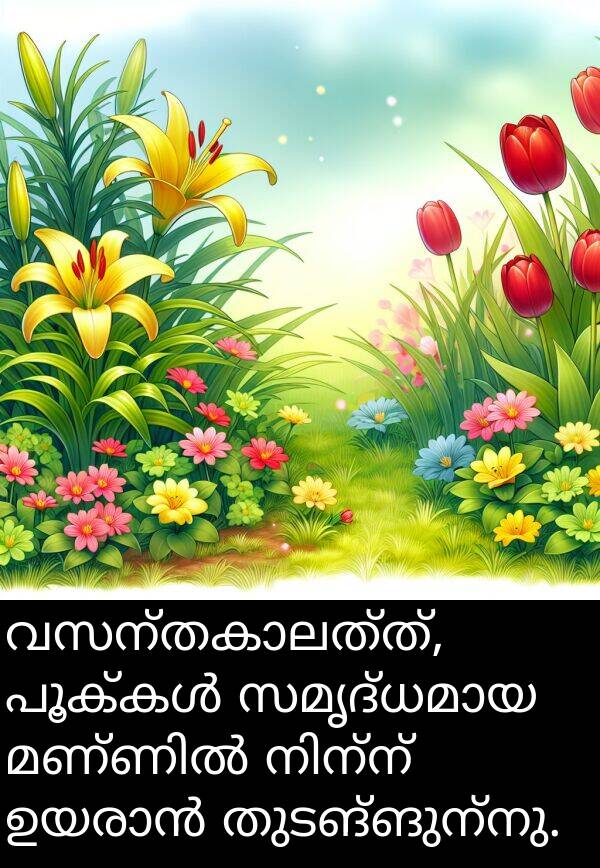 തുടങ്ങുന്നു: വസന്തകാലത്ത്, പൂക്കൾ സമൃദ്ധമായ മണ്ണിൽ നിന്ന് ഉയരാൻ തുടങ്ങുന്നു.