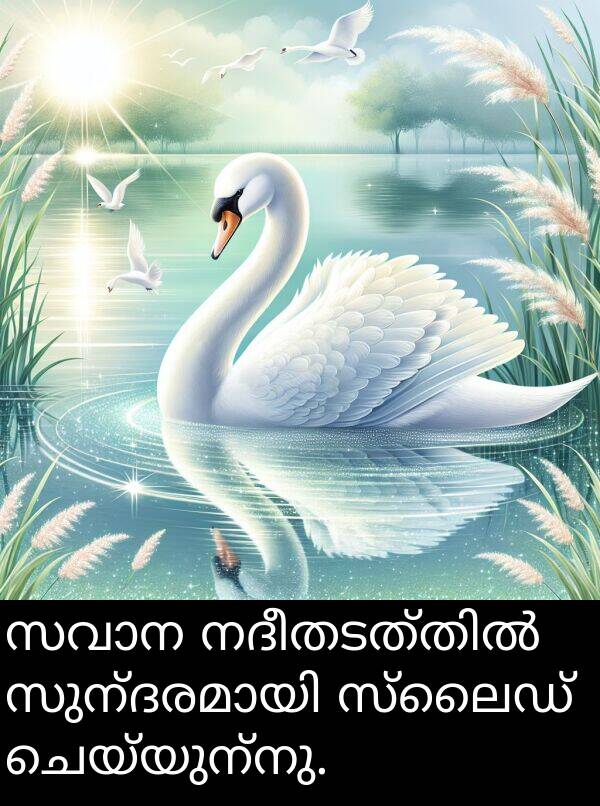 ചെയ്യുന്നു: സവാന നദീതടത്തിൽ സുന്ദരമായി സ്ലൈഡ് ചെയ്യുന്നു.