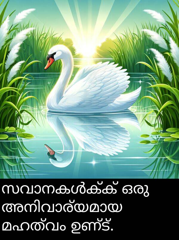 ഉണ്ട്: സവാനകൾക്ക് ഒരു അനിവാര്യമായ മഹത്വം ഉണ്ട്.