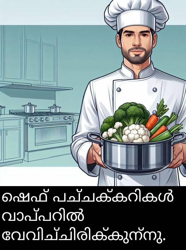 ഷെഫ്: ഷെഫ് പച്ചക്കറികൾ വാപ്പറിൽ വേവിച്ചിരിക്കുന്നു.