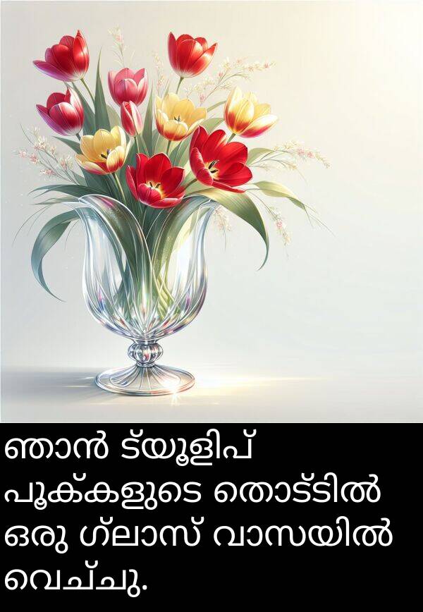 വെച്ചു: ഞാൻ ട്യൂളിപ് പൂക്കളുടെ തൊട്ടിൽ ഒരു ഗ്ലാസ് വാസയിൽ വെച്ചു.