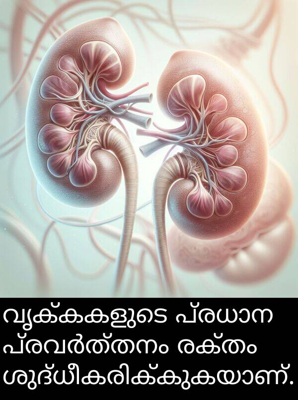 രക്തം: വൃക്കകളുടെ പ്രധാന പ്രവർത്തനം രക്തം ശുദ്ധീകരിക്കുകയാണ്.