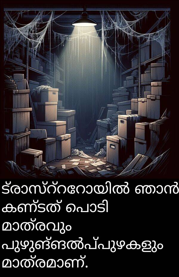 കണ്ടത്: ട്രാസ്റ്ററോയിൽ ഞാൻ കണ്ടത് പൊടി മാത്രവും പുഴുങ്ങൽപ്പുഴകളും മാത്രമാണ്.
