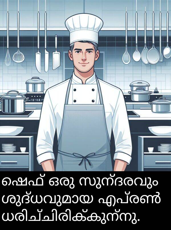 സുന്ദരവും: ഷെഫ് ഒരു സുന്ദരവും ശുദ്ധവുമായ എപ്രൺ ധരിച്ചിരിക്കുന്നു.
