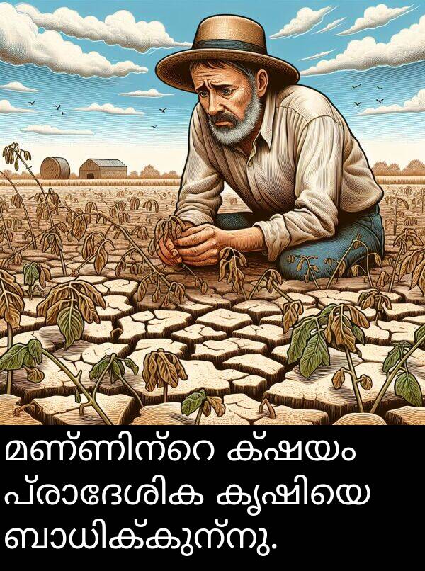 ക്ഷയം: മണ്ണിന്റെ ക്ഷയം പ്രാദേശിക കൃഷിയെ ബാധിക്കുന്നു.