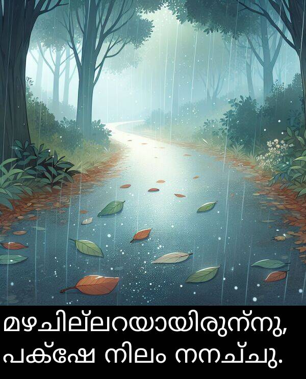 നനച്ചു: മഴചില്ലറയായിരുന്നു, പക്ഷേ നിലം നനച്ചു.