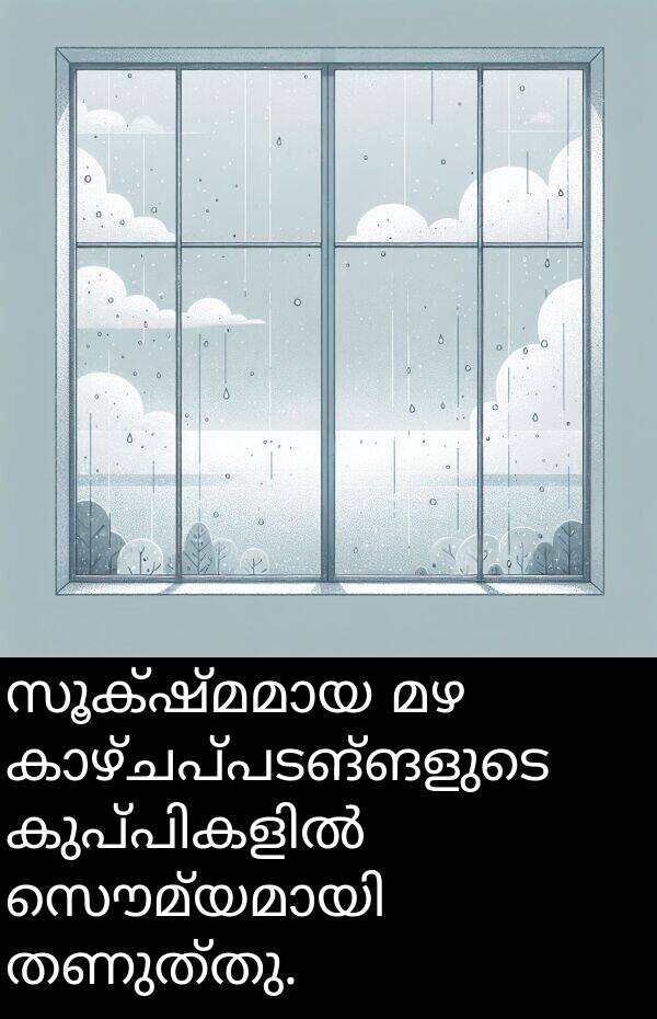 തണുത്തു: സൂക്ഷ്മമായ മഴ കാഴ്ചപ്പടങ്ങളുടെ കുപ്പികളിൽ സൌമ്യമായി തണുത്തു.