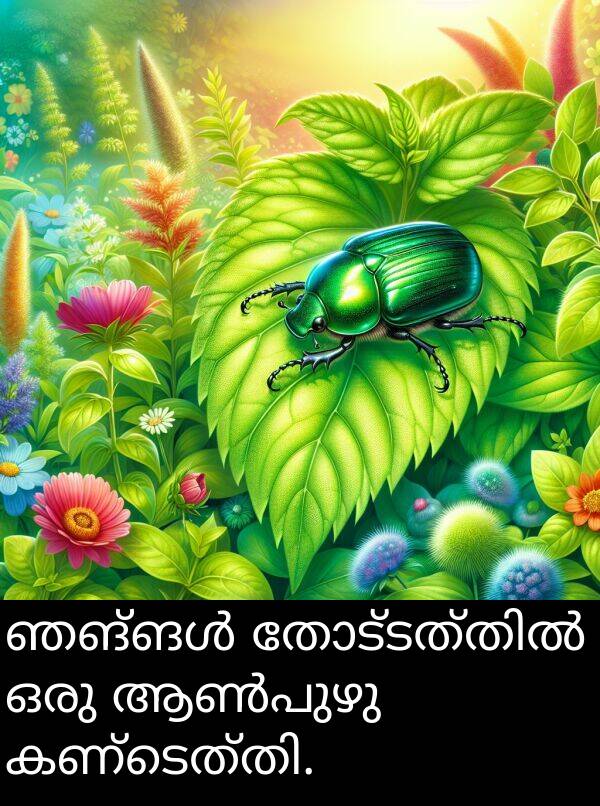 ഒരു: ഞങ്ങൾ തോട്ടത്തിൽ ഒരു ആൺപുഴു കണ്ടെത്തി.