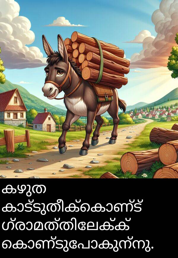 കൊണ്ടുപോകുന്നു: കഴുത കാട്ടുതീക്കൊണ്ട് ഗ്രാമത്തിലേക്ക് കൊണ്ടുപോകുന്നു.