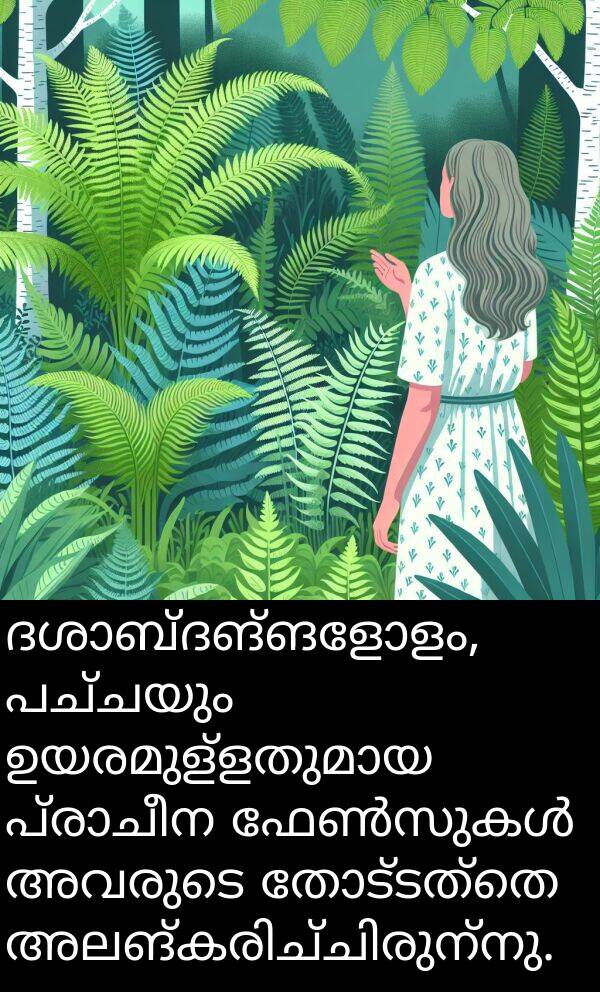 തോട്ടത്തെ: ദശാബ്ദങ്ങളോളം, പച്ചയും ഉയരമുള്ളതുമായ പ്രാചീന ഫേൺസുകൾ അവരുടെ തോട്ടത്തെ അലങ്കരിച്ചിരുന്നു.