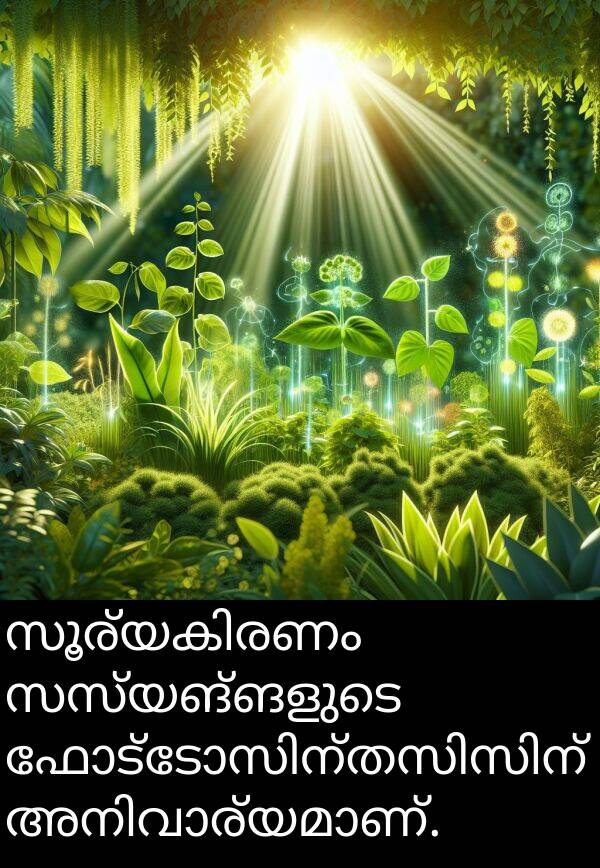 സസ്യങ്ങളുടെ: സൂര്യകിരണം സസ്യങ്ങളുടെ ഫോട്ടോസിന്തസിസിന് അനിവാര്യമാണ്.