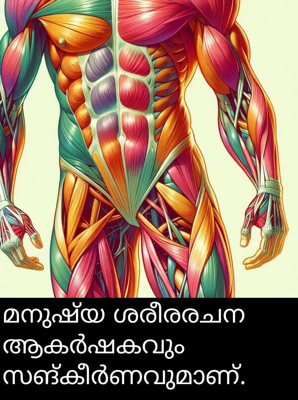മനുഷ്യ: മനുഷ്യ ശരീരരചന ആകർഷകവും സങ്കീർണവുമാണ്.