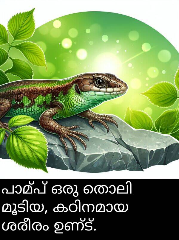 ഉണ്ട്: പാമ്പ് ഒരു തൊലി മൂടിയ, കഠിനമായ ശരീരം ഉണ്ട്.