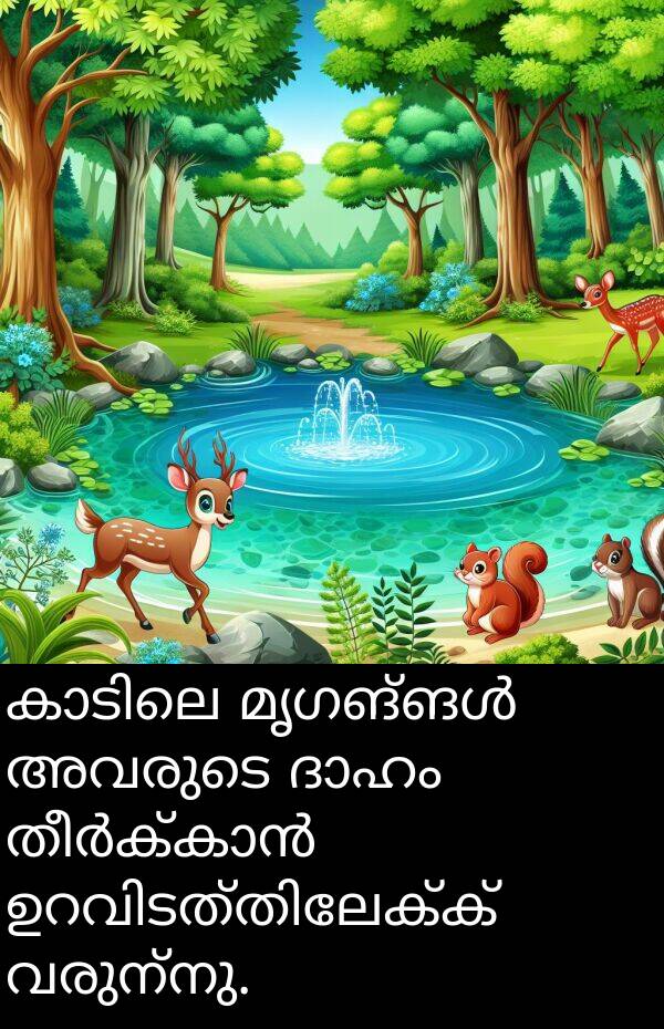 വരുന്നു: കാടിലെ മൃഗങ്ങൾ അവരുടെ ദാഹം തീർക്കാൻ ഉറവിടത്തിലേക്ക് വരുന്നു.