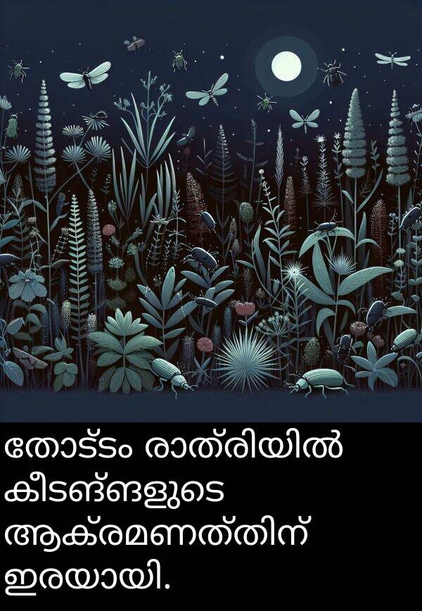 കീടങ്ങളുടെ: തോട്ടം രാത്രിയിൽ കീടങ്ങളുടെ ആക്രമണത്തിന് ഇരയായി.