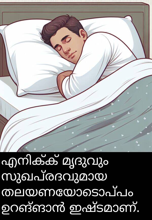 മൃദുവും: എനിക്ക് മൃദുവും സുഖപ്രദവുമായ തലയണയോടൊപ്പം ഉറങ്ങാൻ ഇഷ്ടമാണ്.