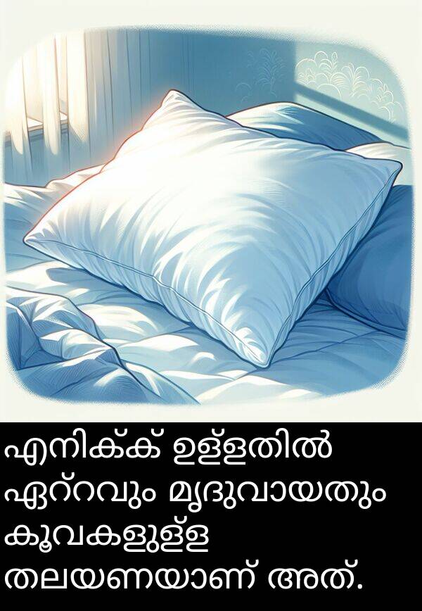 കൂവകളുള്ള: എനിക്ക് ഉള്ളതിൽ ഏറ്റവും മൃദുവായതും കൂവകളുള്ള തലയണയാണ് അത്.