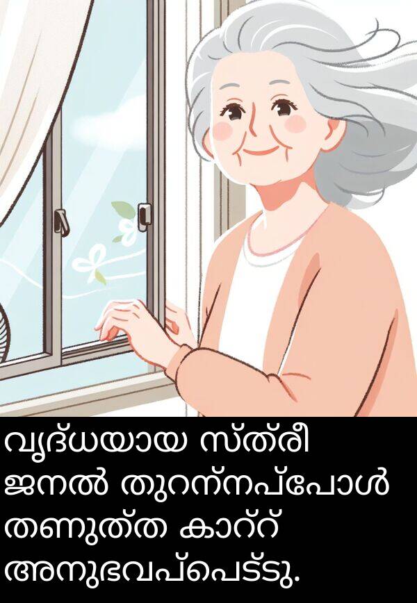 സ്ത്രീ: വൃദ്ധയായ സ്ത്രീ ജനൽ തുറന്നപ്പോൾ തണുത്ത കാറ്റ് അനുഭവപ്പെട്ടു.