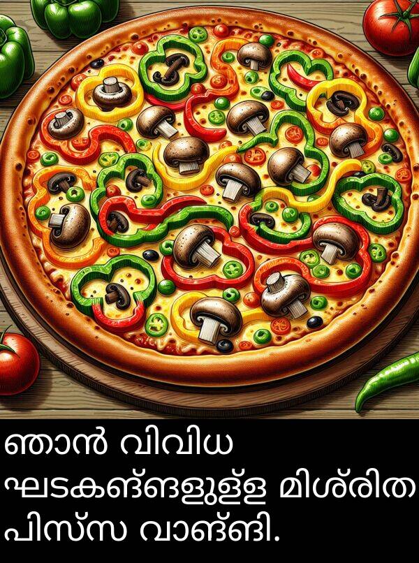 ഘടകങ്ങളുള്ള: ഞാൻ വിവിധ ഘടകങ്ങളുള്ള മിശ്രിത പിസ്സ വാങ്ങി.