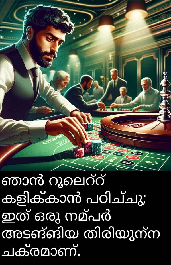 ഇത്: ഞാൻ റൂലെറ്റ് കളിക്കാൻ പഠിച്ചു; ഇത് ഒരു നമ്പർ അടങ്ങിയ തിരിയുന്ന ചക്രമാണ്.