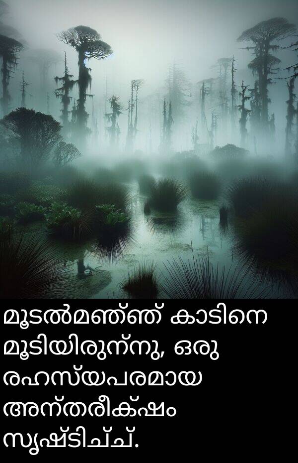 അന്തരീക്ഷം: മൂടൽമഞ്ഞ് കാടിനെ മൂടിയിരുന്നു, ഒരു രഹസ്യപരമായ അന്തരീക്ഷം സൃഷ്ടിച്ച്.