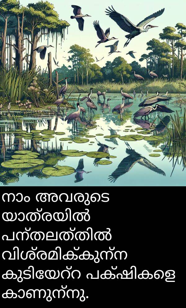 അവരുടെ: നാം അവരുടെ യാത്രയിൽ പന്തലത്തിൽ വിശ്രമിക്കുന്ന കുടിയേറ്റ പക്ഷികളെ കാണുന്നു.