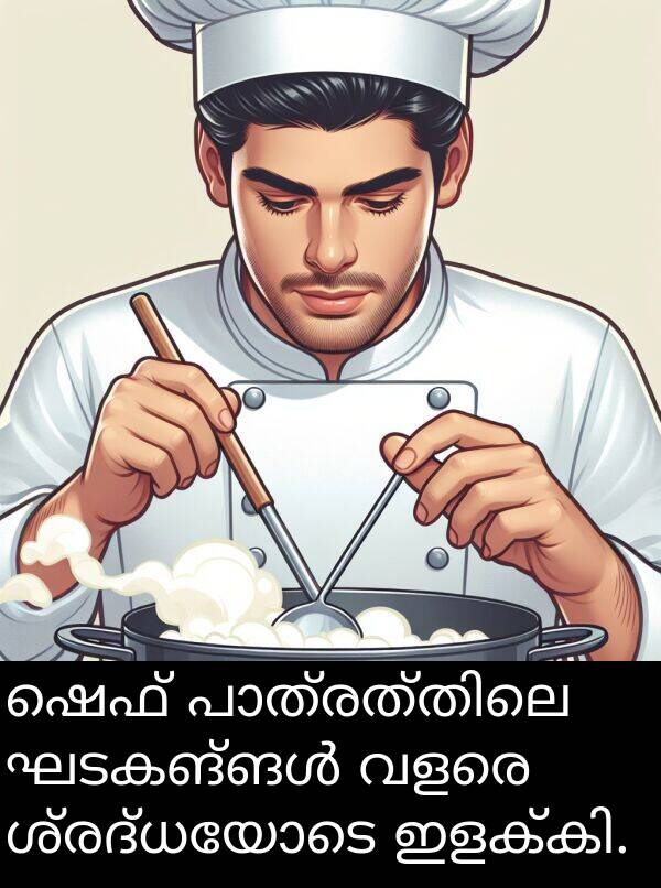 ഷെഫ്: ഷെഫ് പാത്രത്തിലെ ഘടകങ്ങൾ വളരെ ശ്രദ്ധയോടെ ഇളക്കി.