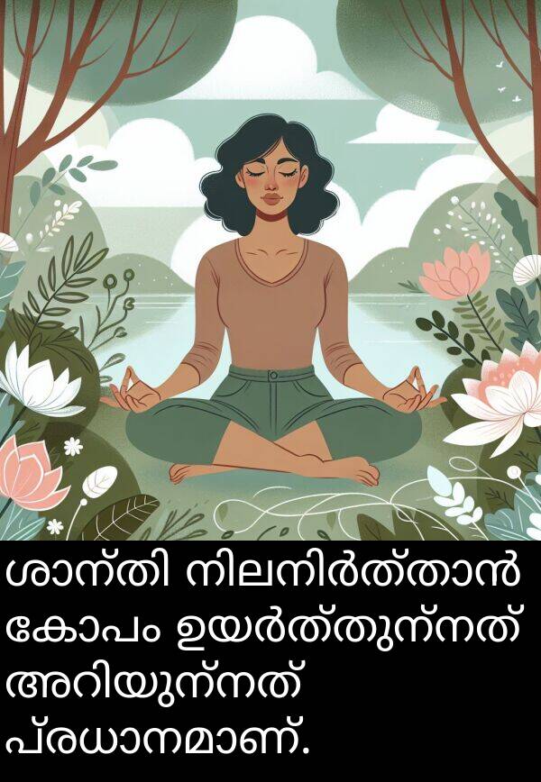 കോപം: ശാന്തി നിലനിർത്താൻ കോപം ഉയർത്തുന്നത് അറിയുന്നത് പ്രധാനമാണ്.