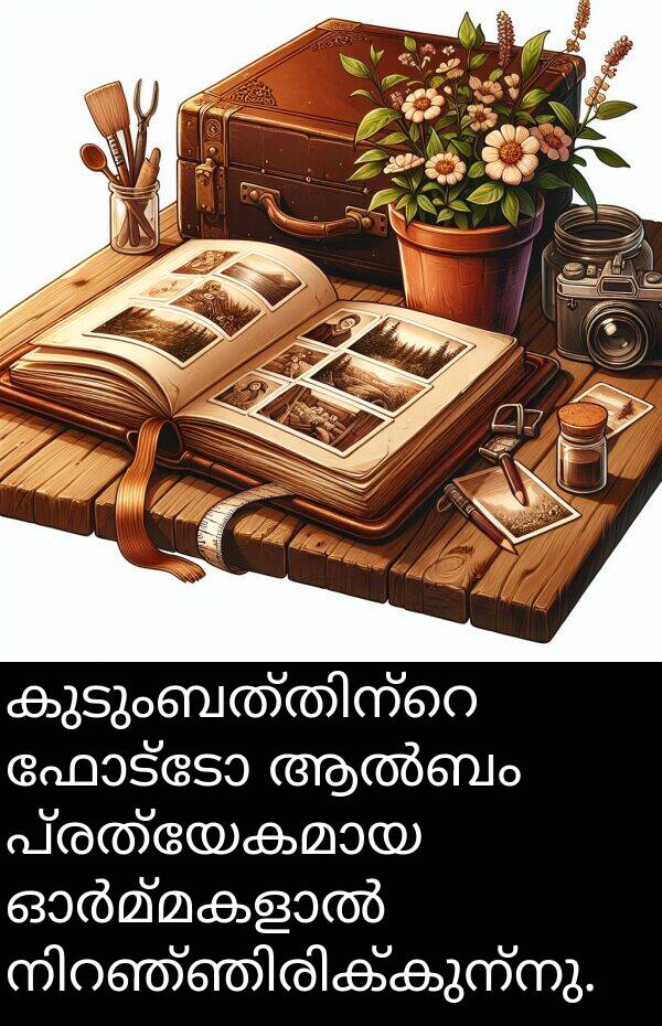 ഫോട്ടോ: കുടുംബത്തിന്റെ ഫോട്ടോ ആൽബം പ്രത്യേകമായ ഓർമ്മകളാൽ നിറഞ്ഞിരിക്കുന്നു.